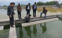 �h(hu��n)�����(xi��ng)�Y��Ͷ��޴�h(hu��n)�����}�q��