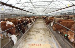 ţ�S�ĠI(y��ng)�B(y��ng)�r(ji��)ֵ�Լ����N��;���D��